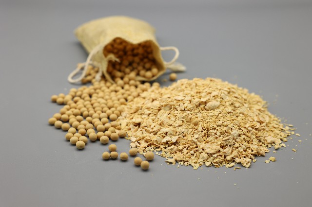 食用大豆粕