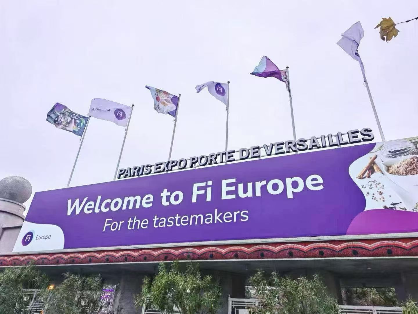 禹王生态亮相2025欧洲食品配料展，展示中国“豆”力量 (https://www.yuwangprotein.com/) 新闻资讯 第1张